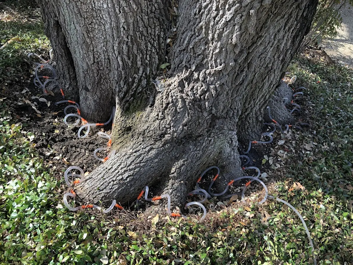 Detailed Shrub and Hedge Trimming job site in Fort Smith