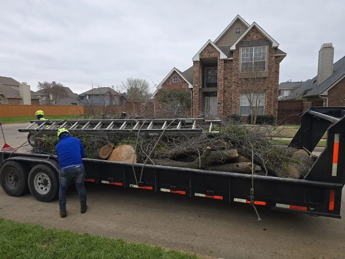 Expert Tree Fertilization with proper safety equipment in Fort Smith